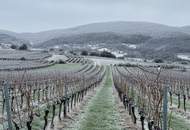 Doppelgrundstück in Ruhelage mit Knusperhaus