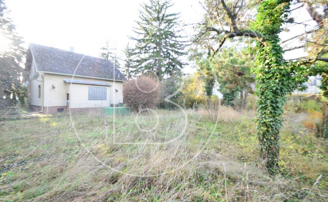 Zwei nebeneinanderliegende Baugrundstücke mit Altbestandsgebäude!