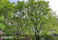 Gersthofer Cottage Dachgeschoß