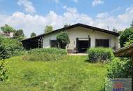 TOPPREIS: Ferienhaus auf Pachtgrund am wunderschönen Neufeldersee!