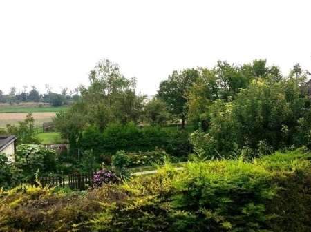 Nähe Badeteich Vösendorf - Geräumiges Reihenhaus in Grünruhelage mit großer Garage und Keller!