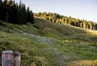 Ski-/Almhütte im Skigebiet Saalbach-Hinterglemm