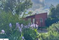 EINFAMILIENHAUS IM SPECKGÜRTEL WIENS - familienfreundliche Grünruhelage