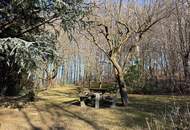 „Wienerwald-Baugrund mit Weitblick – 993 m² sonnige Hanglage in Breitenfurt“
