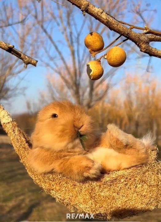 Ostern am Wörthersee: Kurzzeitmiete im April möglich