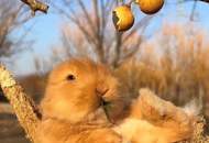 Ostern am Wörthersee: Kurzzeitmiete im April möglich