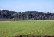 Einzigartiges Anwesen in herrlicher Naturkulisse bei Velden am Wörthersee