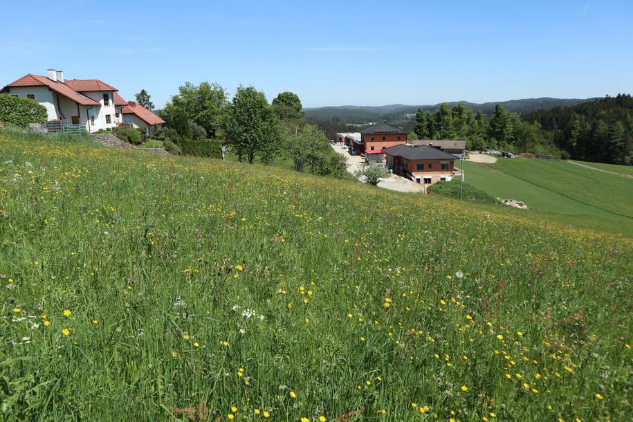 Baugrund in Dorfrandlage, Grund und Boden-kauf, 46.545,€, 4252 Freistadt