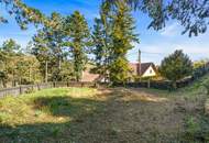 Großzügiges Anwesen mit WEITBLICK, historischer Weinpresse, Erdkellern und vielfältigen Nutzungsperspektiven