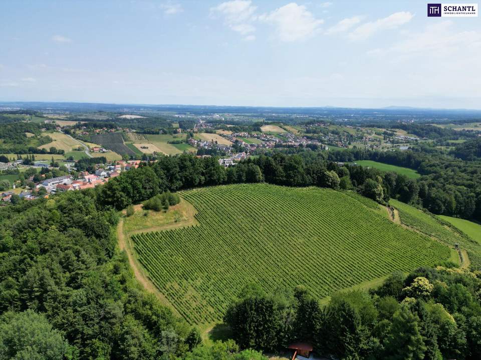 IHRE EIGENEN CHALETS! TRAUMHAFTES GRUNDSTÜCK AN DER SÜDSTEIRISCHEN WEINSTRASSE! Ein Ausblick der Ihnen die Sprache verschlagen wird - im schönsten Teil der grünen Steiermark