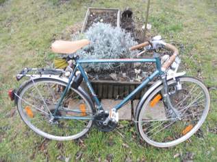 Sportrad von höchster Qualität, 280 €, Auto & Fahrrad-Fahrräder in 2102 Gemeinde Bisamberg