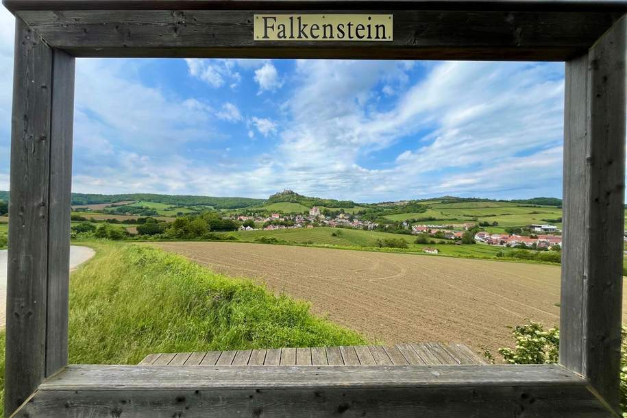 Winzerhaus im Weinort Falkenstein, Haus-kauf, 570.000,€, 2162 Mistelbach