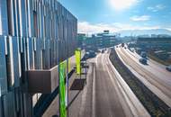 Business Level - on TOP!