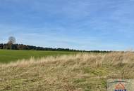 Leistbarer und sonniger Baugrund in erhöhter Lage mit Fernblick in Frankenmarkt!