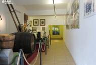 Tolle Wohnung mit Panoramablick in Groß Gerungs