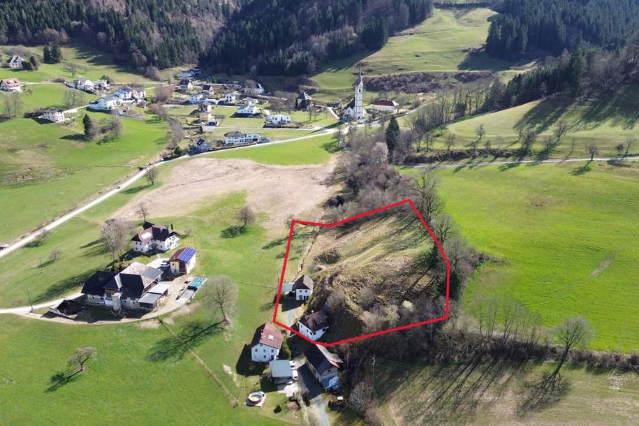 Ruhe finden, Natur leben – charmantes Landhaus samt Stallung + idyllische Ruhelage - St. Walburgen, Haus-kauf, 249.000,€, 9372 Sankt Veit an der Glan