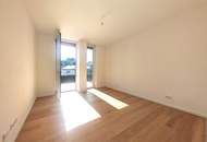 Grünblick beim Stadion