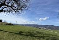 Sacherl mit ca. 15 ha Grund – Natur, Ruhe und viel Platz für Mensch und Tier