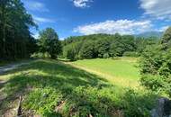 Traumkulisse! Freier Blick auf die Rax!