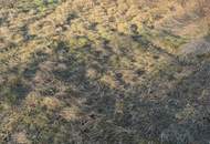 Vielseitige Gewerbe- und Wohnliegenschaft: Hallenflächen, Wohngebäude und großzügiges Grundstück – Jetzt Top Preis sichern!