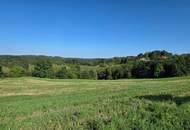 Baugrundstück mit viel Sonne im oststeirischen Hügelland 15 km von Graz!
