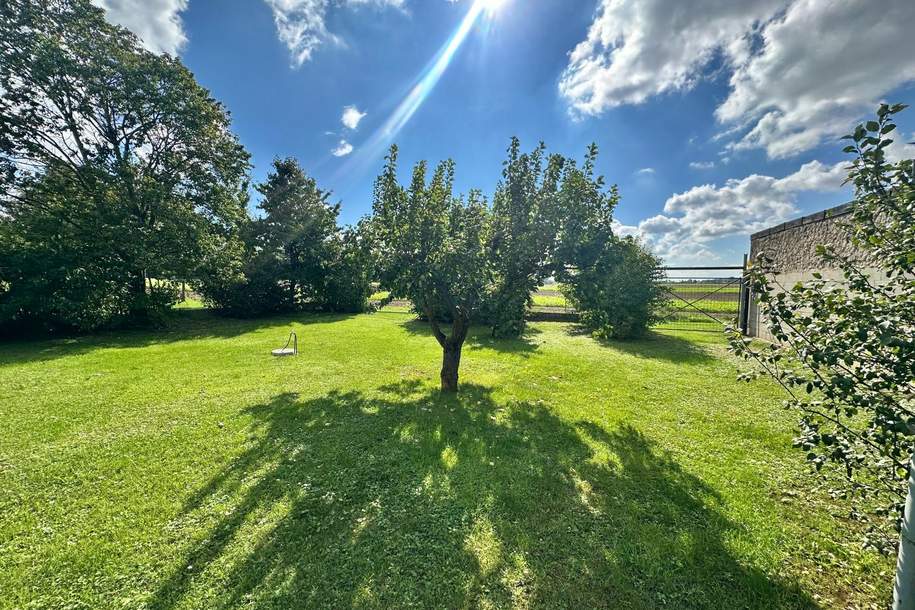 Sonnige Ruhelage mit Grünblick und freiem Ausblick!, Haus-kauf, 249.000,€, 2265 Gänserndorf