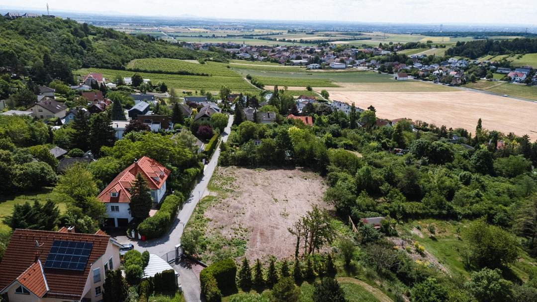 "südseitig am Veigelberg!"