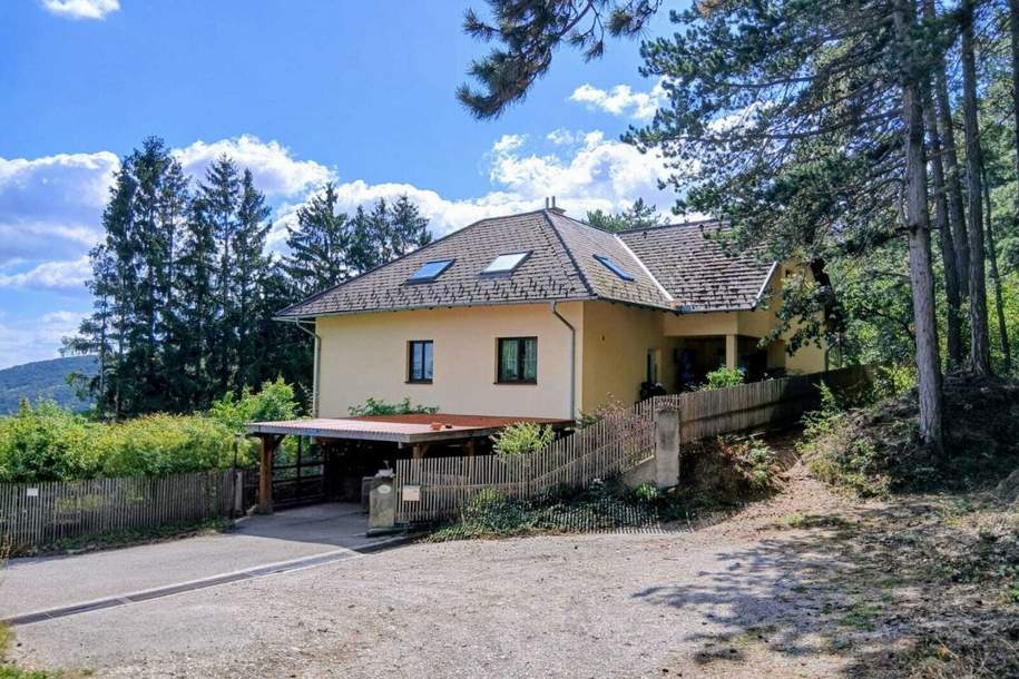 Hohe Wand - Einfamilienhaus mit 3 Wohneinheiten auf 1.100 m² Grund!, Haus-kauf, 699.000,€, 2724 Wiener Neustadt(Land)