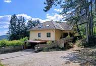 Hohe Wand - Einfamilienhaus mit 3 Wohneinheiten auf 1.100 m² Grund!