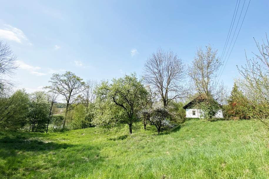 Baugrundstück mit Ausblick und viel Platz, Grund und Boden-kauf, 550.000,€, 4650 Wels-Land