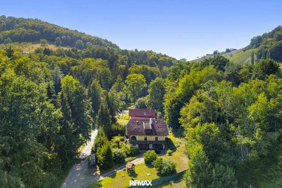 Naturnahes Wohnensemble mit großzügigem Rohbau zur freien Gestaltung, Haus-kauf, 645.000,€, 8451 Leibnitz