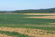 Unverbaubare Fernsicht! 1.531 m² großes Hang-Baugrundstück OHNE Bauzwang und OHNE Bebauungsplan in Steusiedlung am Land!