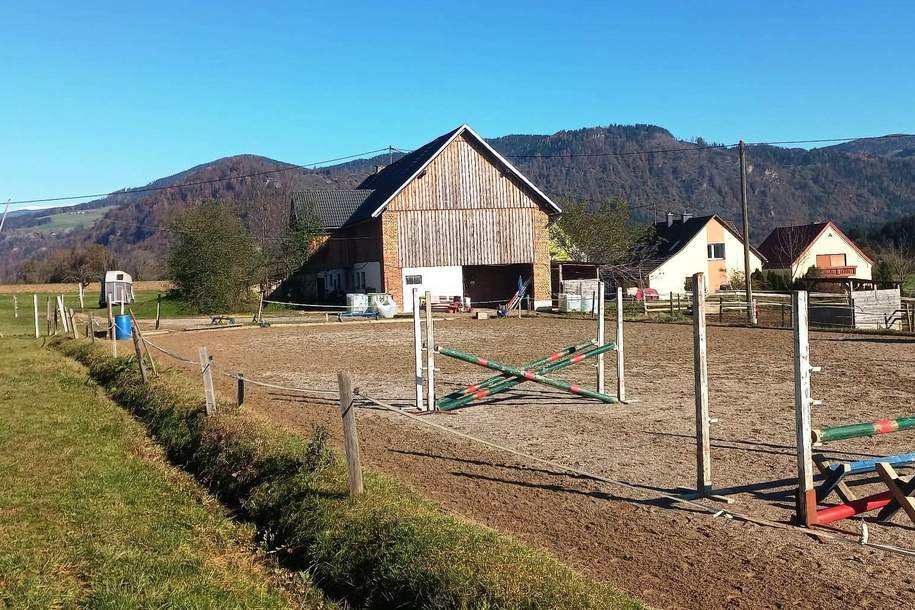 Landwirtschaft 11 ha, mit Hofstelle, Wald und Wiese, Haus-kauf, 660.000,€, 9371 Sankt Veit an der Glan