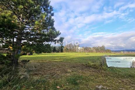 Hier beginnt Ihr Traum vom Eigenheim – großes Grundstück in idyllischer Lage, Grund und Boden-kauf, 268.000,€, 2751 Wiener Neustadt(Land)