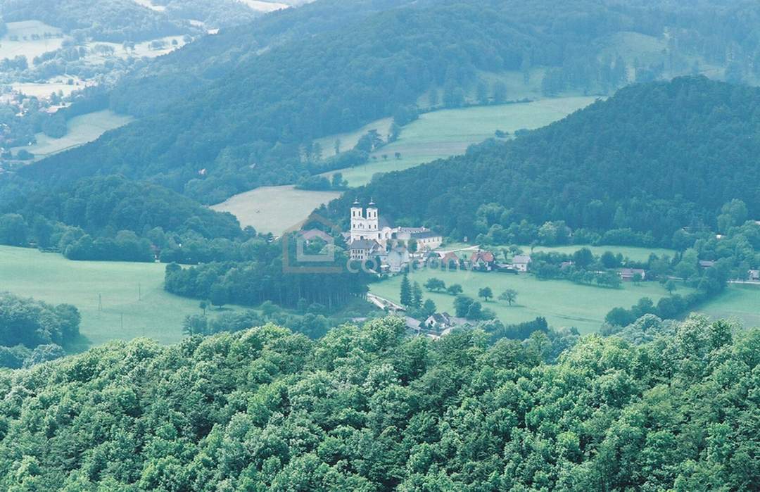 Atemberaubend schöne Landschaft - Südlage - Baugrund 839qm kein Bauzwang !!! Nähe Alland nur 30 Minuten nach Wien!!!