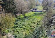 Mehrfamilien- oder Generationenhaus für Pferdeliebhaber!