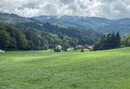 Landwirtschaftliche Nutzfläche und Wiese