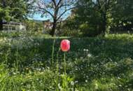 Bezauberndes Einfamilienhaus mit wundervollem Garten