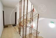 Moderne 3-Zimmer-Loggia-Wohnung in Grünruhelage!