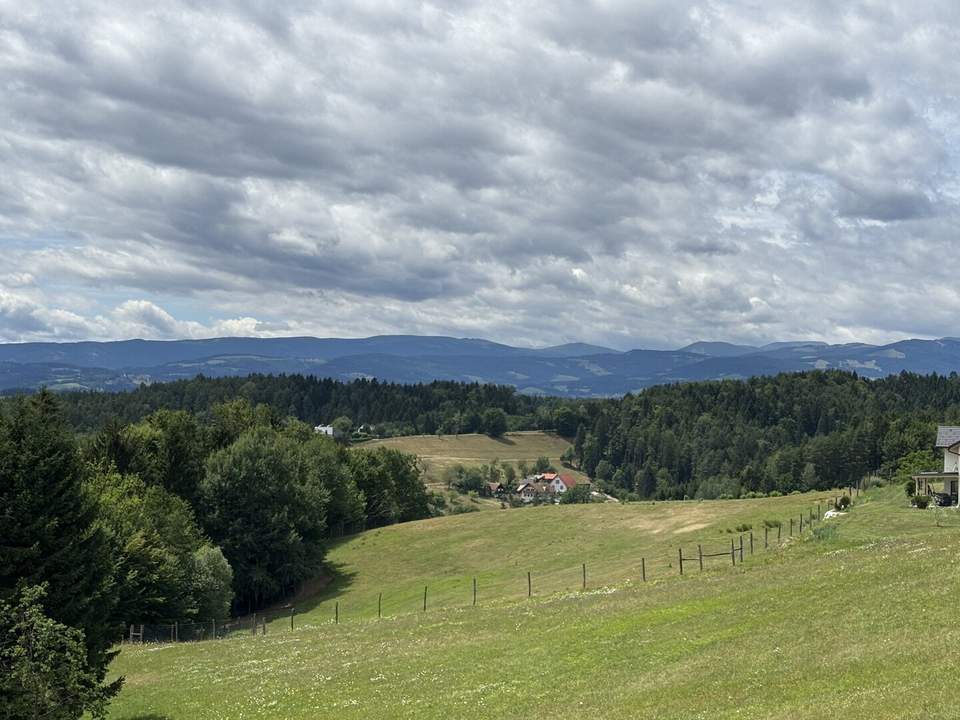 Große Landwirtschaft mit Wiesen und kleineren Wäldern welche zur Zeit als Wildtiergehege genutzt wird, Quadratmeterpreis 2,40 Euro