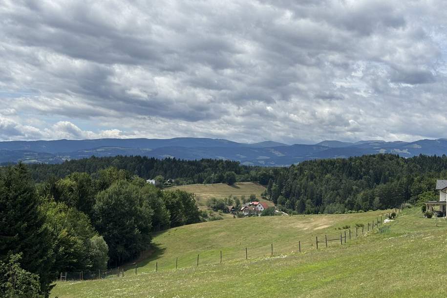 Große Landwirtschaft mit Wiesen und kleineren Wäldern welche zur Zeit als Wildtiergehege genutzt wird, Quadratmeterpreis 2,40 Euro, Grund und Boden-kauf, 138.000,€, 8152 Voitsberg