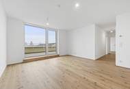 PROVISIONSFREI! Lichtdurchflutete 3-Zimmer-Wohnung | Südausrichtung | Terrasse von jedem Raum begehbar