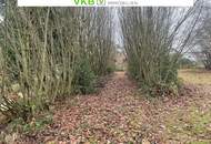 Ruhig gelegenes Grundstück in Spattendorf – Gemeinde Alberndorf in der Riedmark (GST 2460/9)