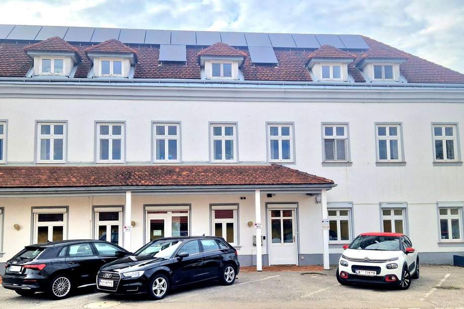 Maisonette in historischen Mauern mit Ziergarten, Haus-kauf, 549.000,€, 2542 Baden