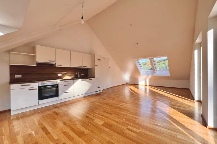 Moderne Dachgeschosswohnung am Speckgürtel von Wien!, Wohnung-miete, 1.068,78,€, 2392 Mödling