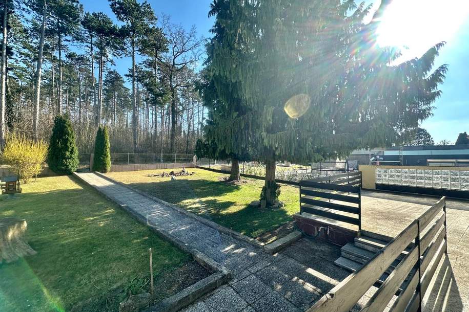 Ruheoase am Totenhauerwald in Mistelbach!, Haus-kauf, 339.000,€, 2130 Mistelbach