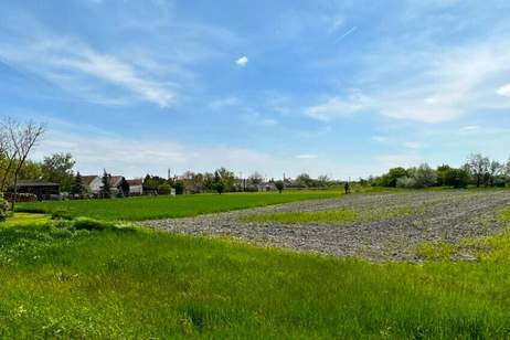 Schnäppchen in UNGARN bei der GRENZE! Bau- und Freizeitgrundstücke | Natur pur in der UNESCO-Kulturlandschaft Fertő-Neusiedler See!, Grund und Boden-kauf, 232.125,€, 7152 Neusiedl am See