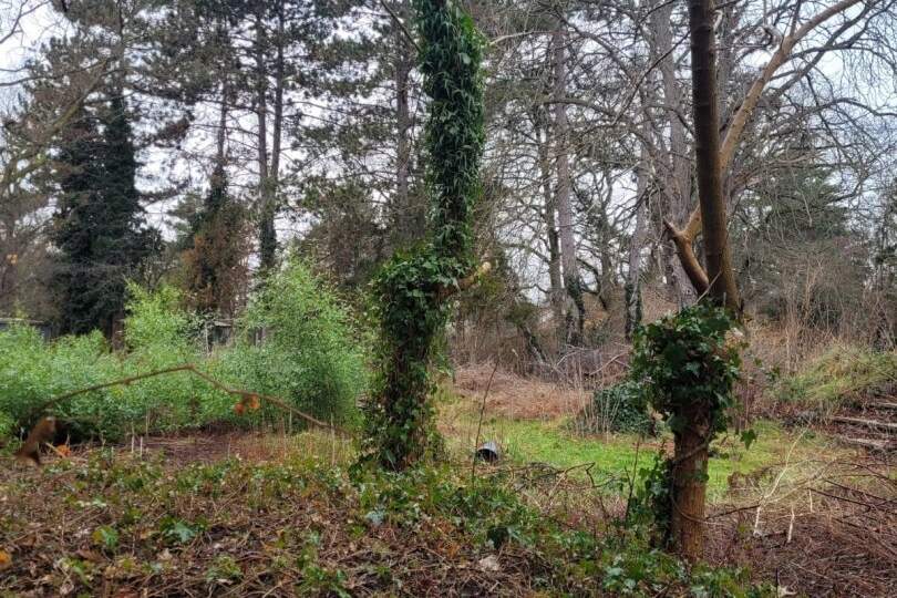 "Wohnen in ruhiger und grüner Siedlungslage"- Baugrundstück in sehr guter Lage, Grund und Boden-kauf, 279.900,€, 2231 Gänserndorf