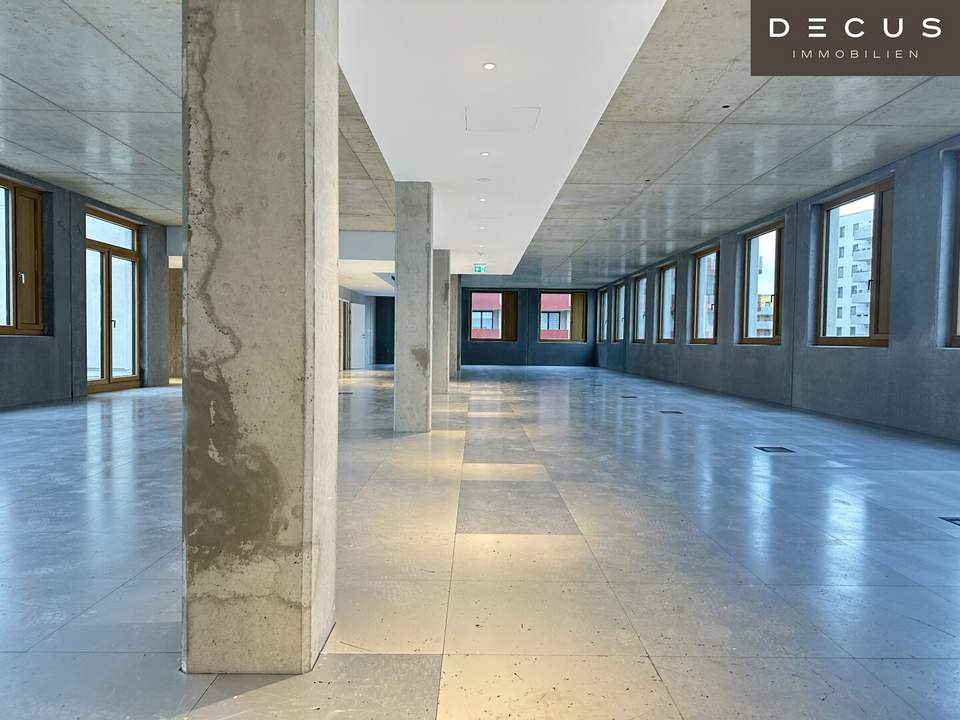 | INDUSTRIE STYLE | FABRIK 1230 | Büro-/Ordinations-/Geschäftsflächen