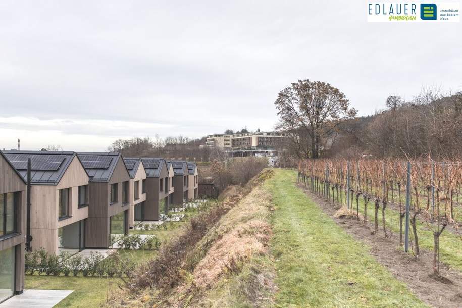 Neubau mit Wow-Faktor – und grandiosem Ausblick!, Haus-miete, 2.337,24,€, 3500 Krems an der Donau(Stadt)